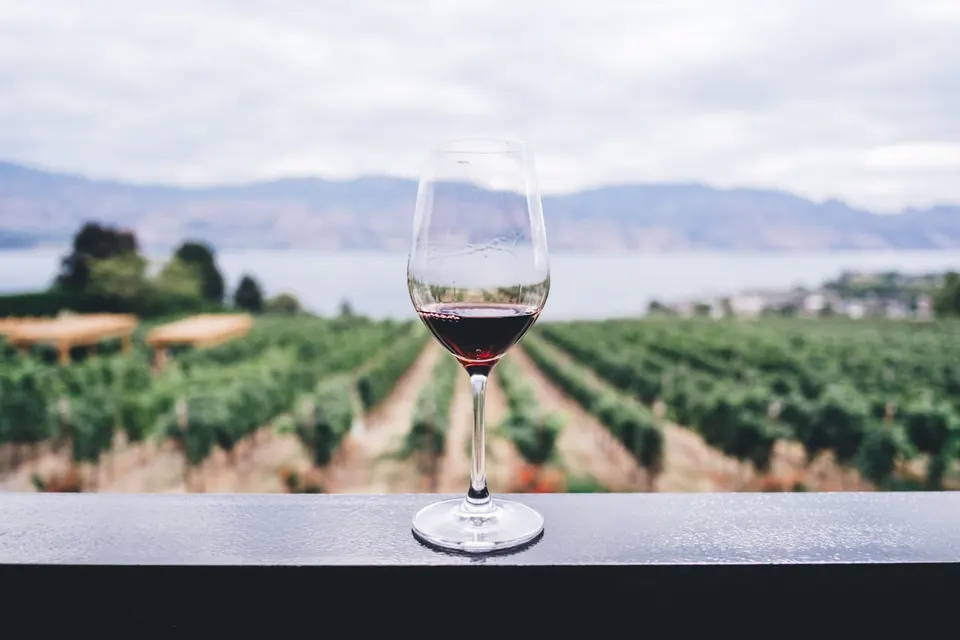 Wine overlooking a green vineyard and distant mountains